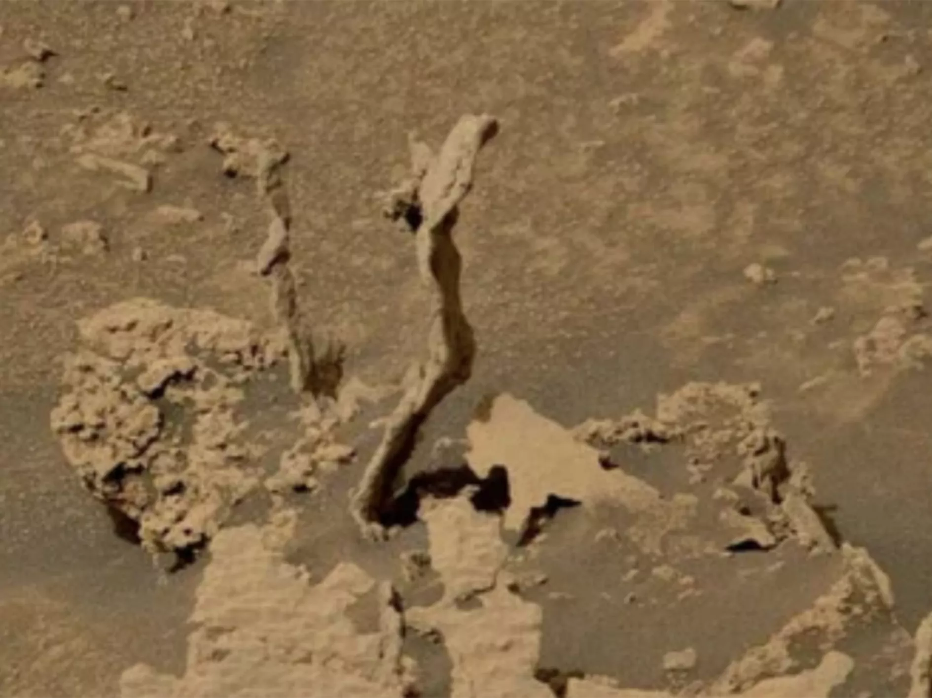 Curious finds on Mars