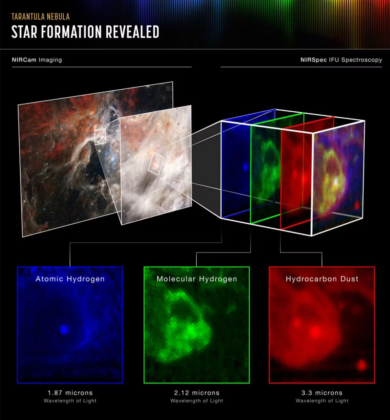 NIRSpec “Webb” tool reveals the mysteries of the Universe