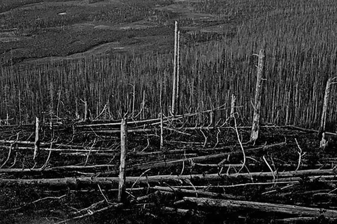 The Tunguska meteorite turned out to be a weighty curiosity